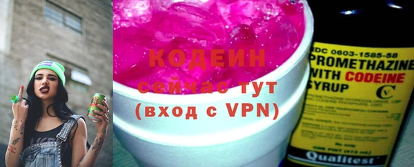 хмурый Арсеньев