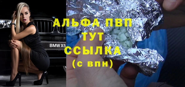 хмурый Арсеньев